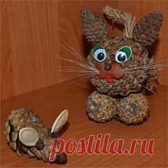 (1) Одноклассники