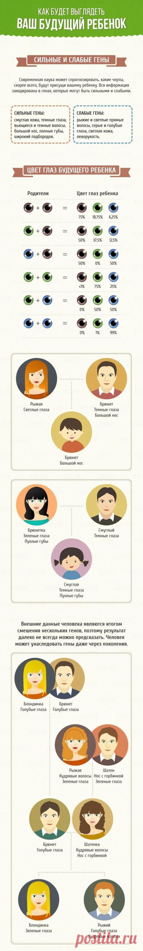 Как будет выглядеть ваш будущий ребенок / Малютка