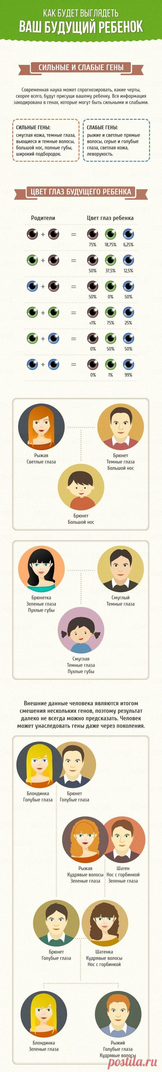 Как будет выглядеть ваш будущий ребенок / Малютка