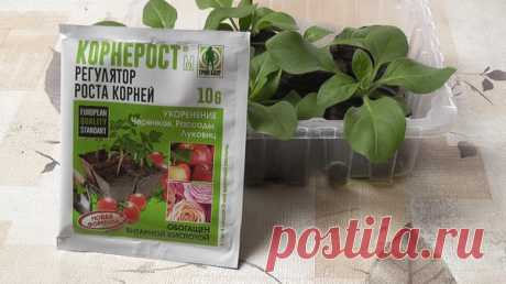 Стимулятор корнеобразования Корнерост-М: инструкция по применению