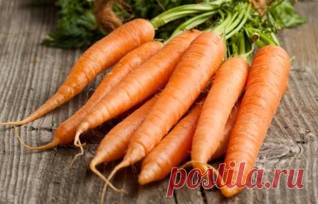 Самые сладкие сорта моркови для детского питания