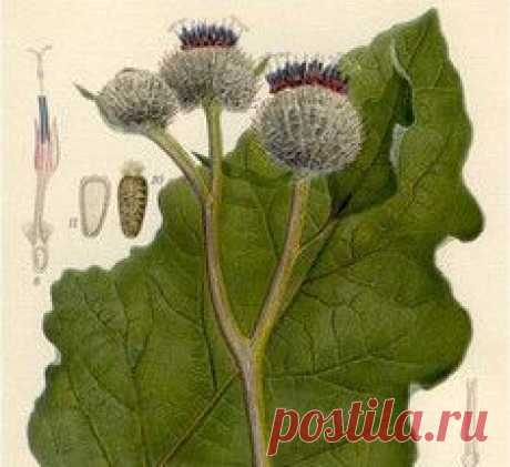 Здоровье и красота - стр. 8