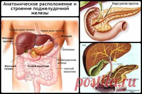 (51) Одноклассники
