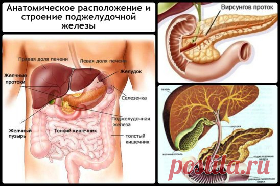 (51) Одноклассники