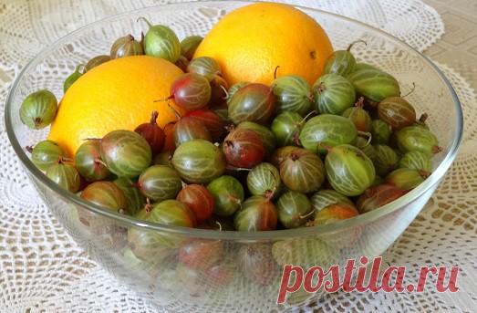 Что необычного можно приготовить из крыжовника? — Готовим дома