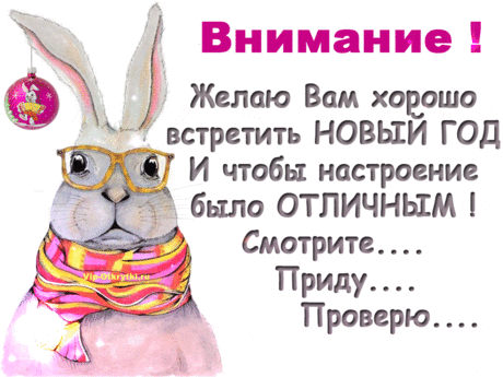 Друзья с наступающим Новым годом кролика