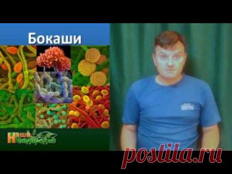 Бокаши: самое лучшее удобрение