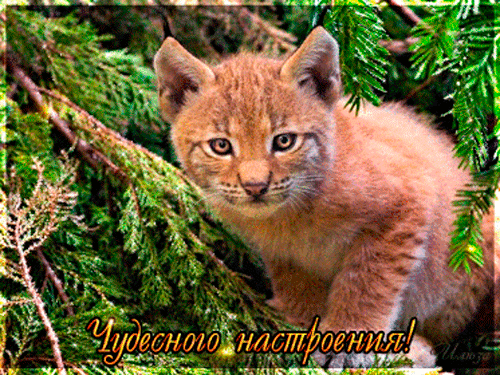 Мой Мир@Mail.Ru