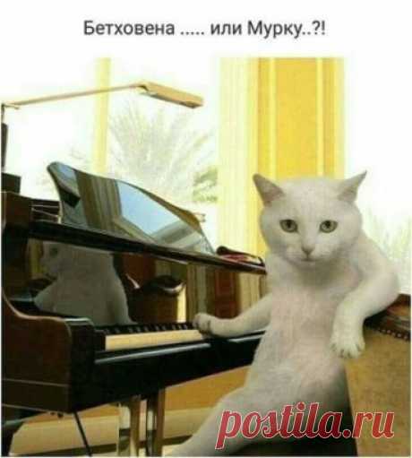 😱😁👍😆