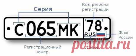 Владимир Николаевич