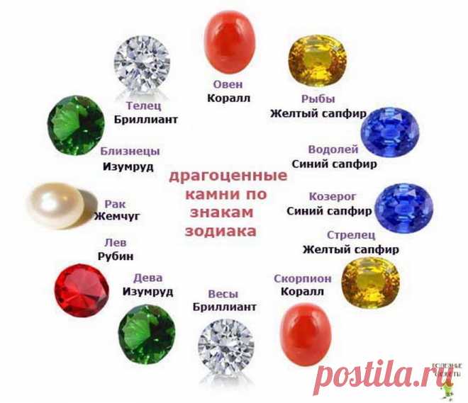 (4) Одноклассники