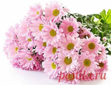 ВНИМАНИЕ!!! ДЛЯ ТОГО ЧТОБЫ ПОЛНОЦЕННО ВСТУПИТЬ В ГРУППУ И ВАМ НА ЛЕНТУ ПРИХОДИЛИ НАШИ ЗАМЕЧАТЕЛЬНЫЕ Цветы И Поздравления с Днем Рождения ! СДЕЛАЙТЕ СЛЕДУЮЩЕЕ: 
1.Выбираете значок &quot;Присоединиться&quot;
2.Выбираете значок &quot;Пригласить в группу&quot;
3.Ставите галочку на ВСЕХ своих друзей!
4.Нажимаете кнопку &quot;Пригласить&quot;
5.Нажимаете &quot;класс&quot; на эту новость!
P.S оставьте в комментарий смайлик,чтоб мы знали что вы с нами!!!
•••