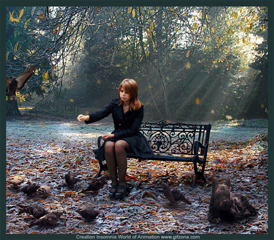 Живые фотографии – Живые картинки – Сообщество – Google+ | postila.ru/post/category/shopping