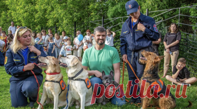 В Москве пройдут показательные выступления служебных собак разных ведомств. В Москве в рамках программы «Друг, спасатель, защитник» пройдут показательные выступления кинологов и собак различных спасательных служб. Четырёхчасовая программа состоится в кинологическом парке на Кольской улице 22 июня. Читать далее