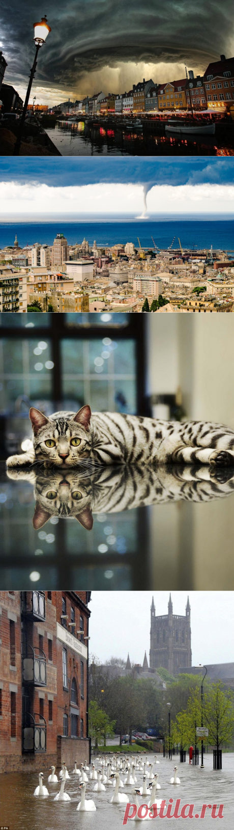 20 потрясающих фотографий, от которых сложно оторваться