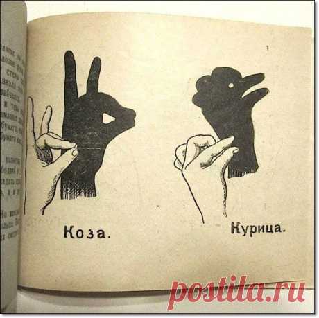 Животные из пальцев. Театр теней