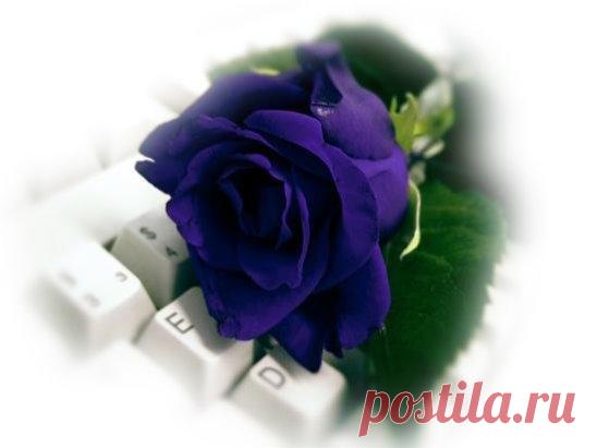 Одноклассники