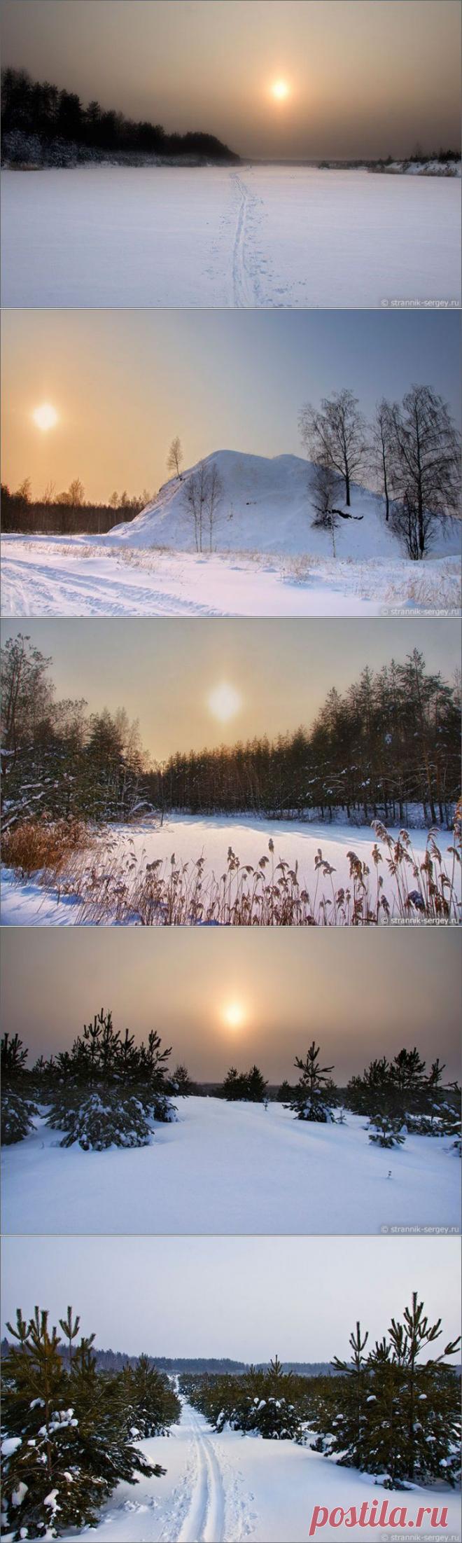 Экологическое чудо Подмосковья. Лопатинский рудник | Среда обитания