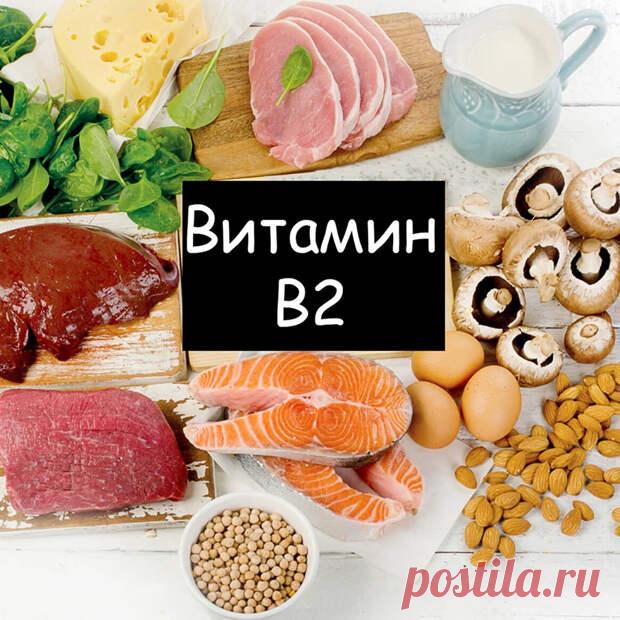Продукты, содержащие витамин В2 - Будь в форме!
                                             - 9 января
                                             - 43690016204 - Медиаплатформа МирТесен Рибофлавин, или витамин В2, играет важную роль для здоровья. Он необходим для липидного и углеводного обмена, функции нервной системы и сердечной мышцы, для зрения, кожи, слизистых оболочек, ногтей и волос. Какие продукты являются богатым источником рибофлавина? Рибофлавин (витамин В2) —...