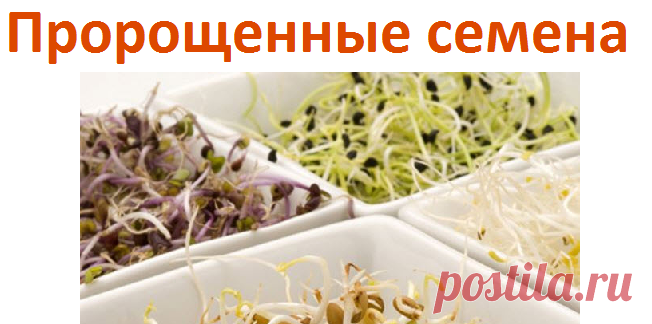 Полезные свойства пророщенных семян | Советы целительницы