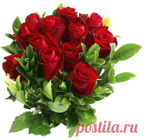 11434299.png (800×779)