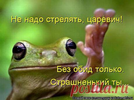 Животные » Страница 16 » Приколы на XA-XA.ORG: Тысячи фото, картинки, анекдоты, видео, флеш и других приколов!