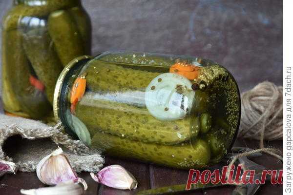 Маринованные огурцы по-болгарски. Пошаговый рецепт с фото