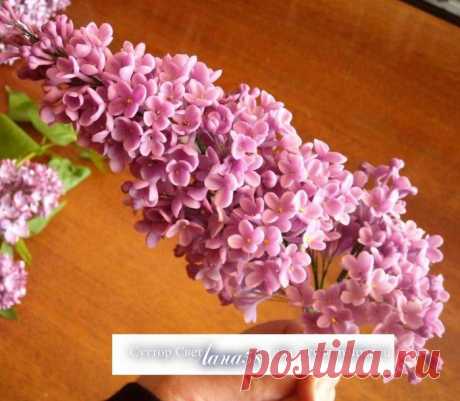 Дневник nataliya40