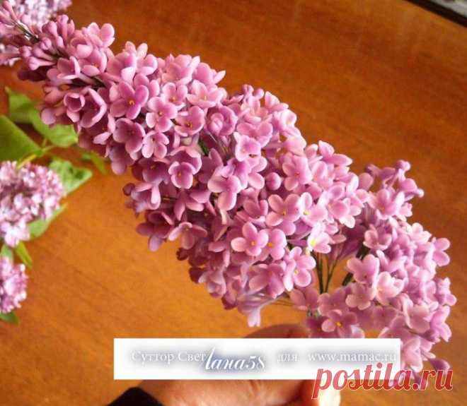 Дневник nataliya40