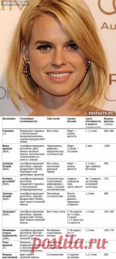 ❀ Безотрывное вязание. Отёчность ног. Живой компост. Пироги с вареньем. Стрижки для круглолицых. Гранёный стакан // Кусочек Постилы к чаю! - ladyginav@list.ru - Почта Mail.Ru