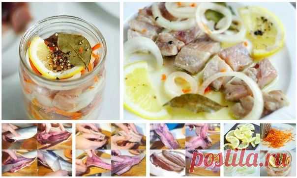 СЕЛЕДКА ПО-ГОЛЛАНДСКИ: : ВКУСНЕЕ ПРОСТО НЕ СУЩЕСТВУЕТ - Простые рецепты Овкусе.ру