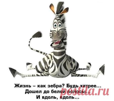 Мудрые советы в год лошади