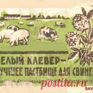 Спиченые наклейки в СССР