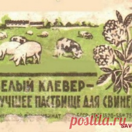 Спиченые наклейки в СССР