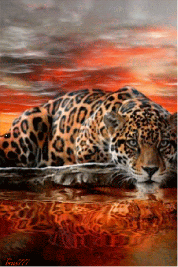 Живые фотографии – Google+