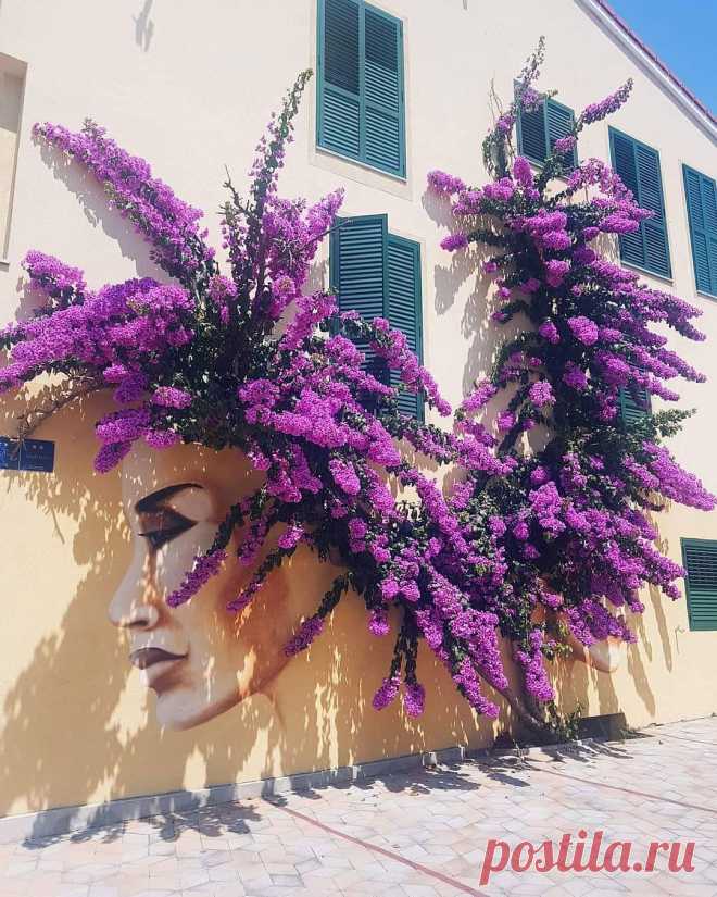 Graffiti touch to spectacular Bougainvillea
Photo: Nina Košak