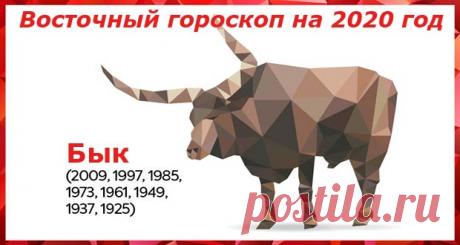 Восточный гороскоп на 2020 год Бык: женщины и мужчины