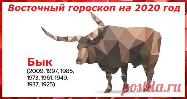 Восточный гороскоп на 2020 год Бык: женщины и мужчины