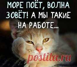 Работа летом
