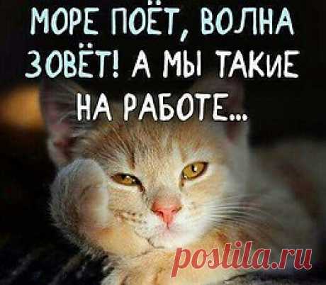 Работа летом