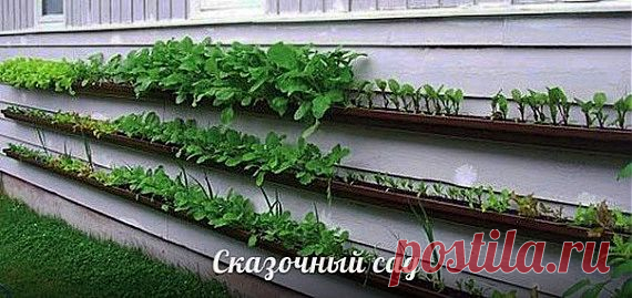 нашла еще идею / Сад и огород / PassionForum - мастер-классы по рукоделию