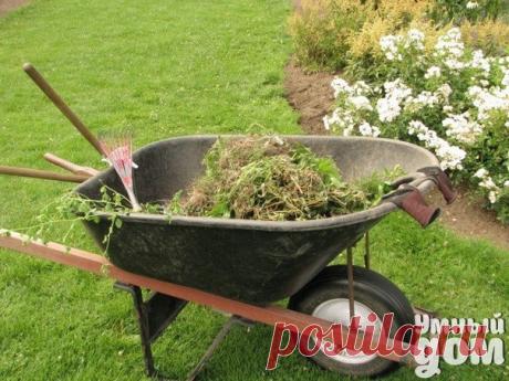 КАК ПРЕВРАТИТЬ СКОШЕННУЮ ТРАВУ В КОМПОСТ ИЛИ МУЛЬЧУ Всем любителям газонов интересно, куда девать скошенную траву. Ведь от неё не обязательно избавляться – она вполне может принести ощутимую пользу садовой почве и растениям. Ведь скошенная трава – самый лучший материал для компоста. Не стоит оставлять скошенную траву неубранной на газоне, ведь она может стать причиной появления неопрятных жёлтых пятен на газоне. Это не касается обладателей газонокосилок, срезающих траву, дробя её на мелкие…