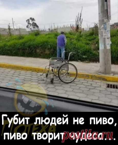 Приколы № 55. | Потеха | Яндекс Дзен