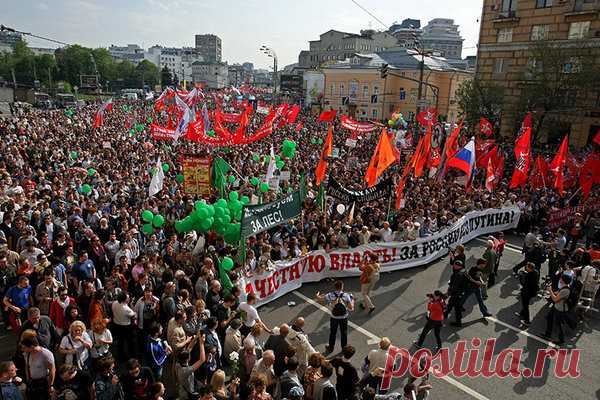 Кремль готовит новую Болотную площадь | Грибы с глазами | Яндекс Дзен