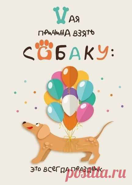 Семь причин завести собаку