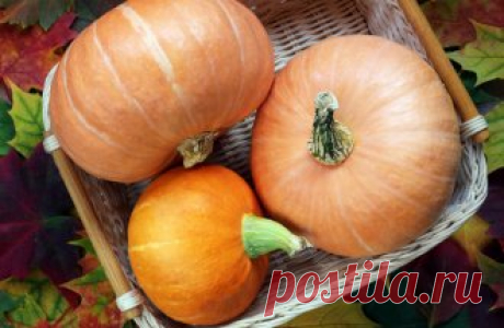 Что приготовить из тыквы – 7 оригинальных рецептов - МирТесен