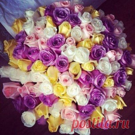 СРОЧНО ТРЕБУЕТСЯ СОТРУДНИК на должность ИНФОРМАЦИОННЫЙ менеджер!!! Обязанности : Размещение рекламных материалов в интернет, ведение документации. Работа с почтой и соц.сетями. ОФОРМЛЕНИЕ ОФИЦИАЛЬНОЕ. ВЛОЖЕНИЙ НЕТ.