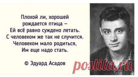 ЛУЧШИЕ СТИХИ ЭДУАРДА АСАДОВА, которые трогают до глубины души