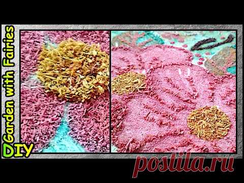 Бархатная Раскраска за Копейки  из зоомагазина.
