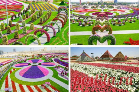 В ОАЭ всей семьей можно отправиться в самый большой в мире парк цветов Dubai Miracle Garden.
Стоимость билетов в парк: для взрослых и детей от 3 лет – 20 дирхамов (170 руб.), детям до 3 лет – бесплатно.